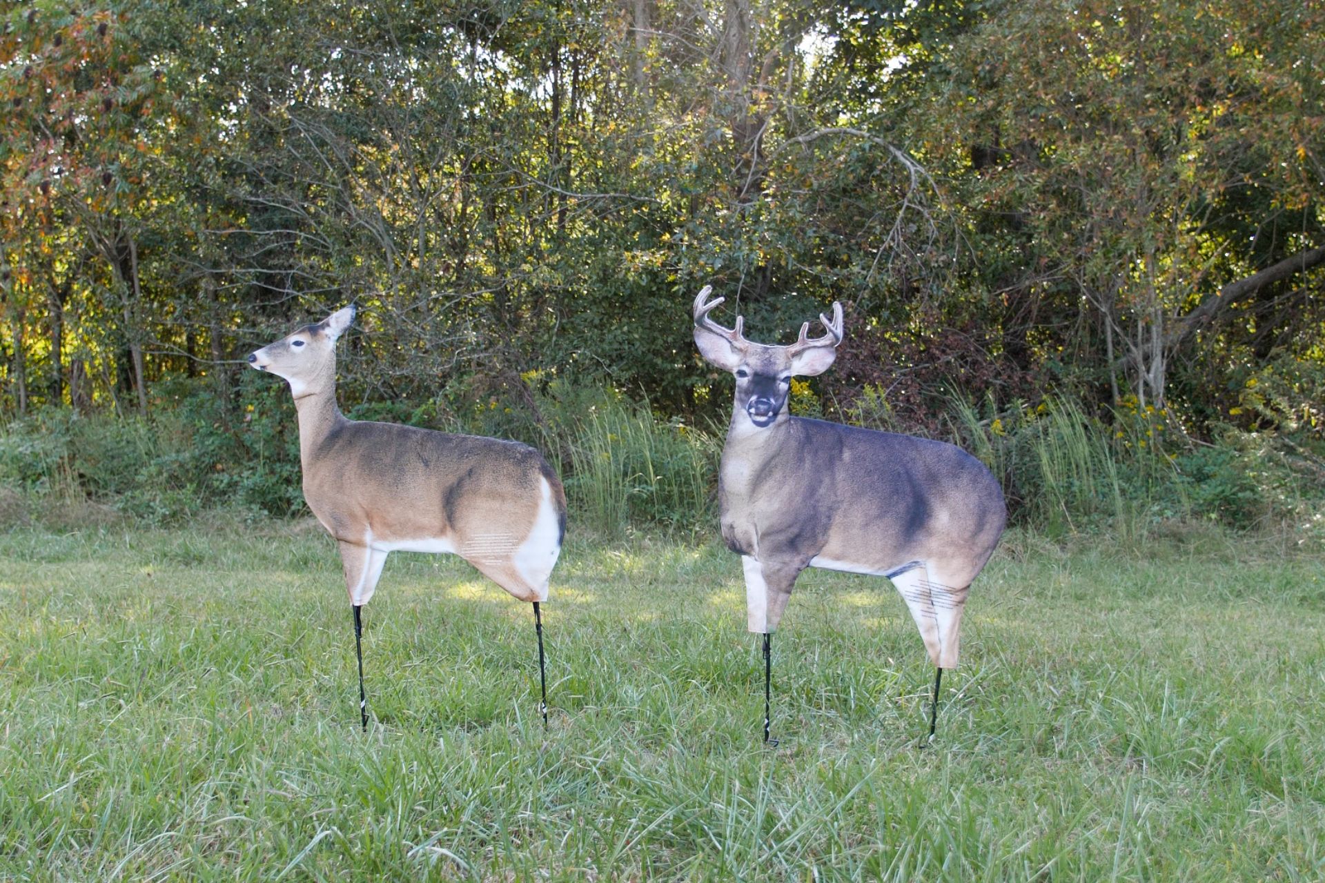 deer decoy setups for every phase of the rut