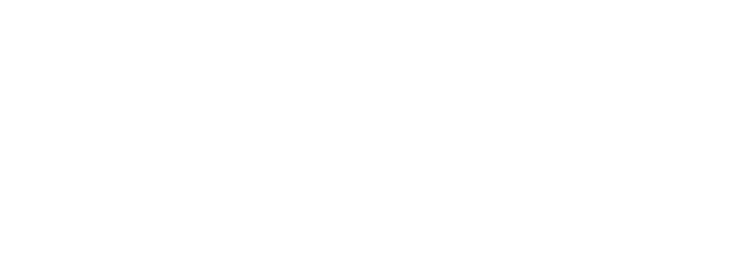 Montana Decoy