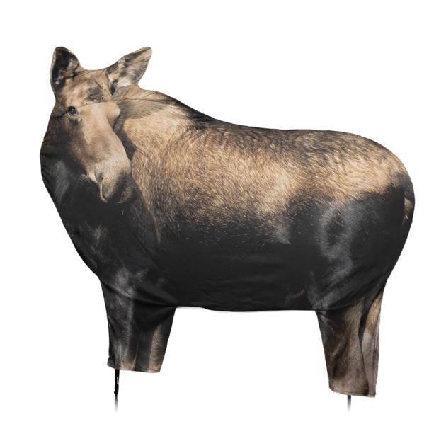 Cow Moose