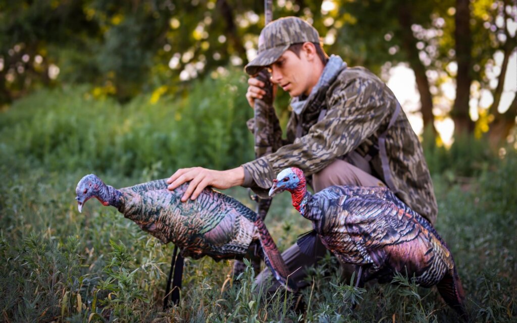 Pairing a younger-looking, less dominant decoy with a hen can quickly turn up the action, especially early season.