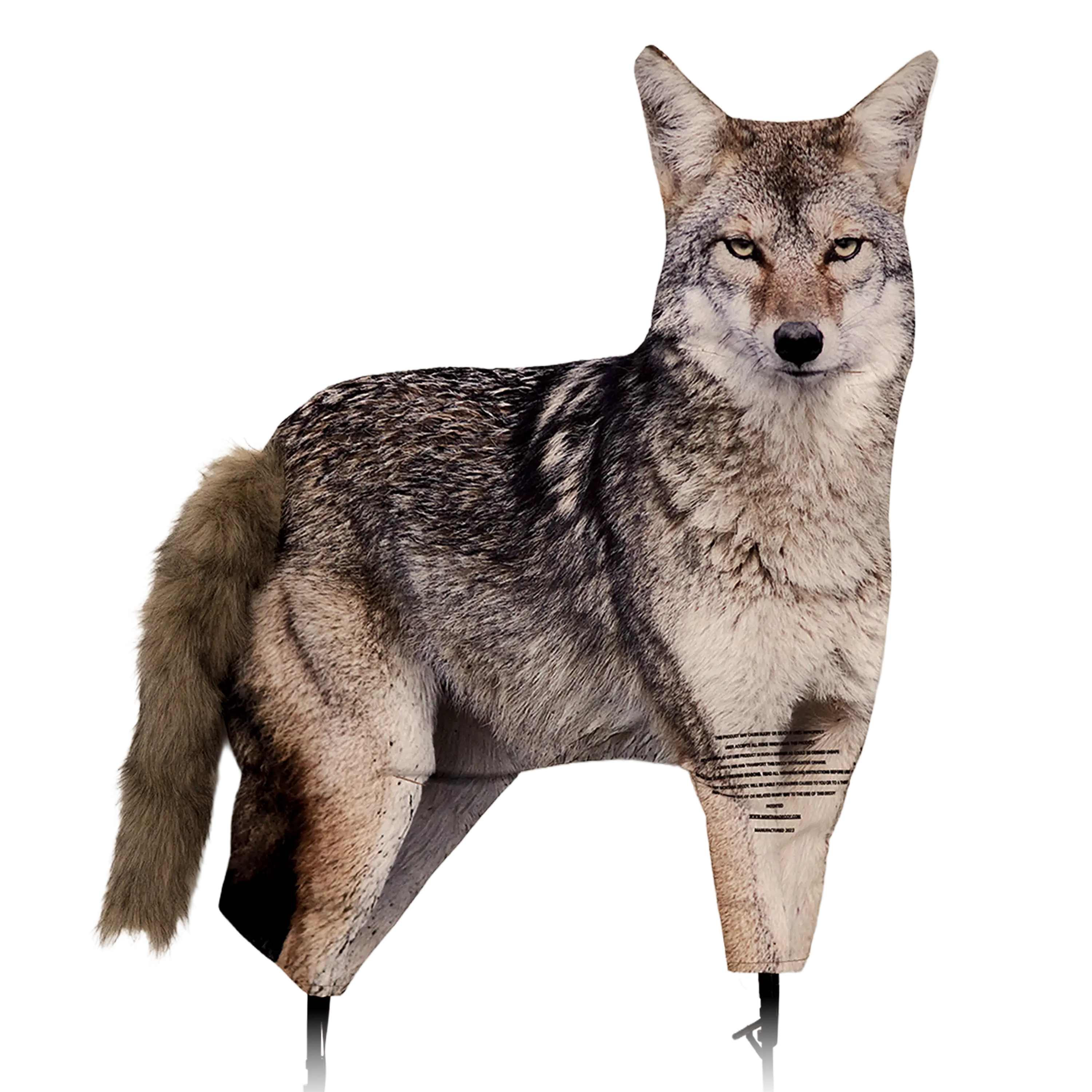 Song Dog Coyote Decoy - Image 2