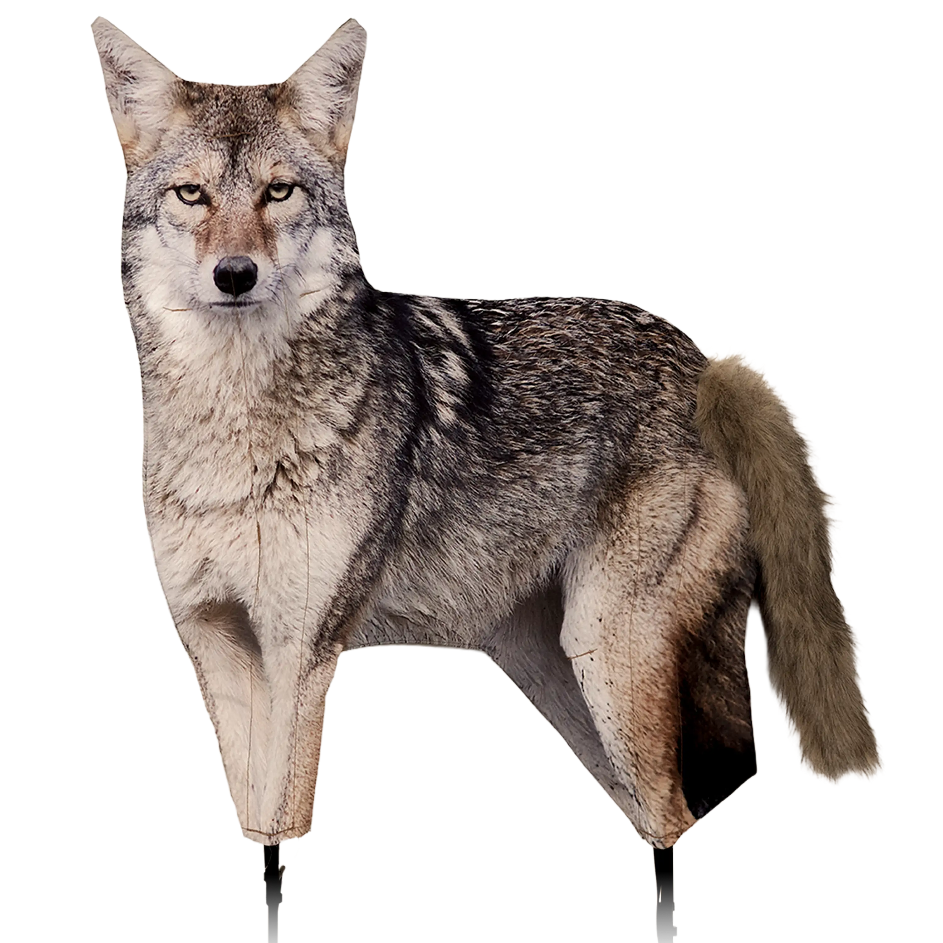 Song Dog Coyote Decoy