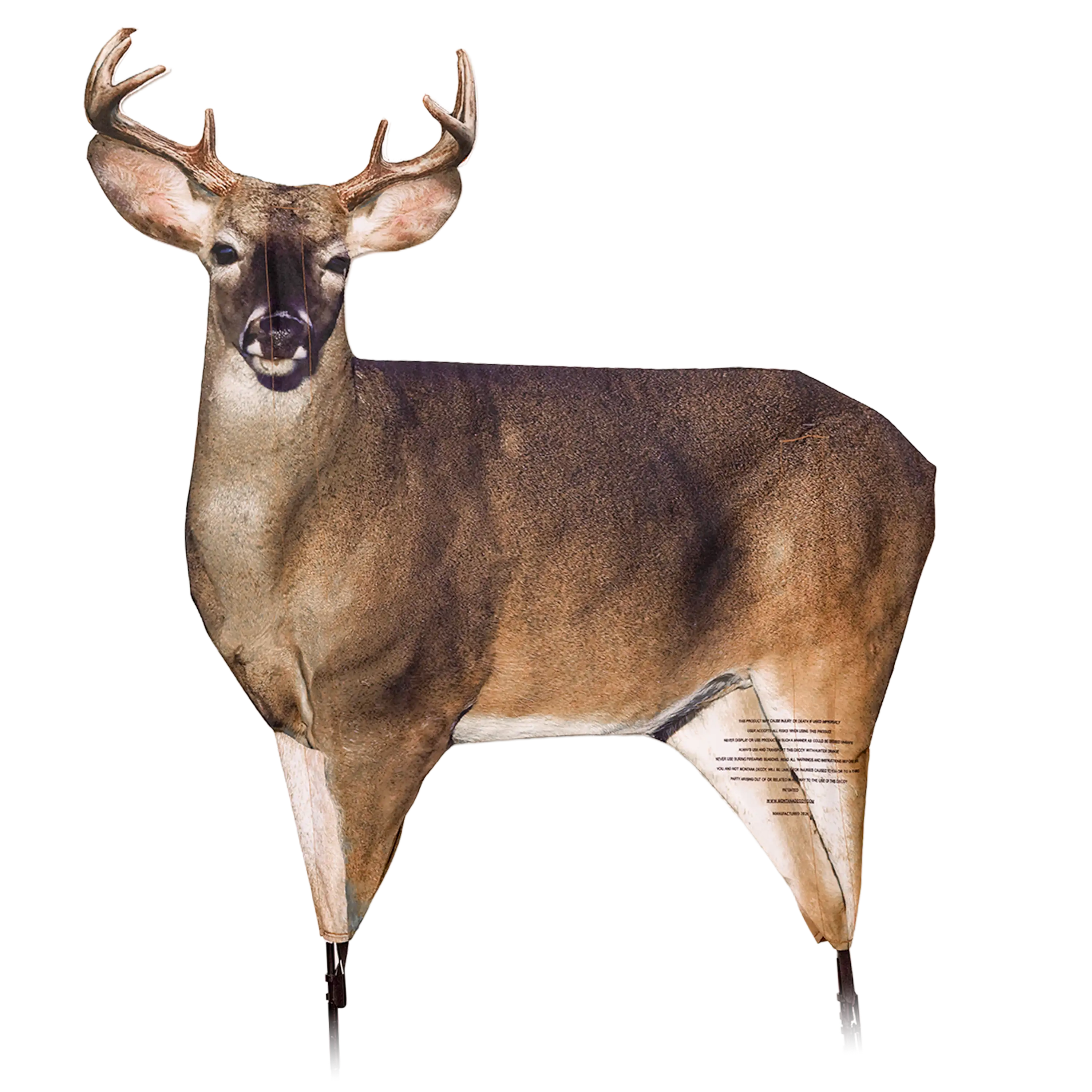 Dream Team - Image 3