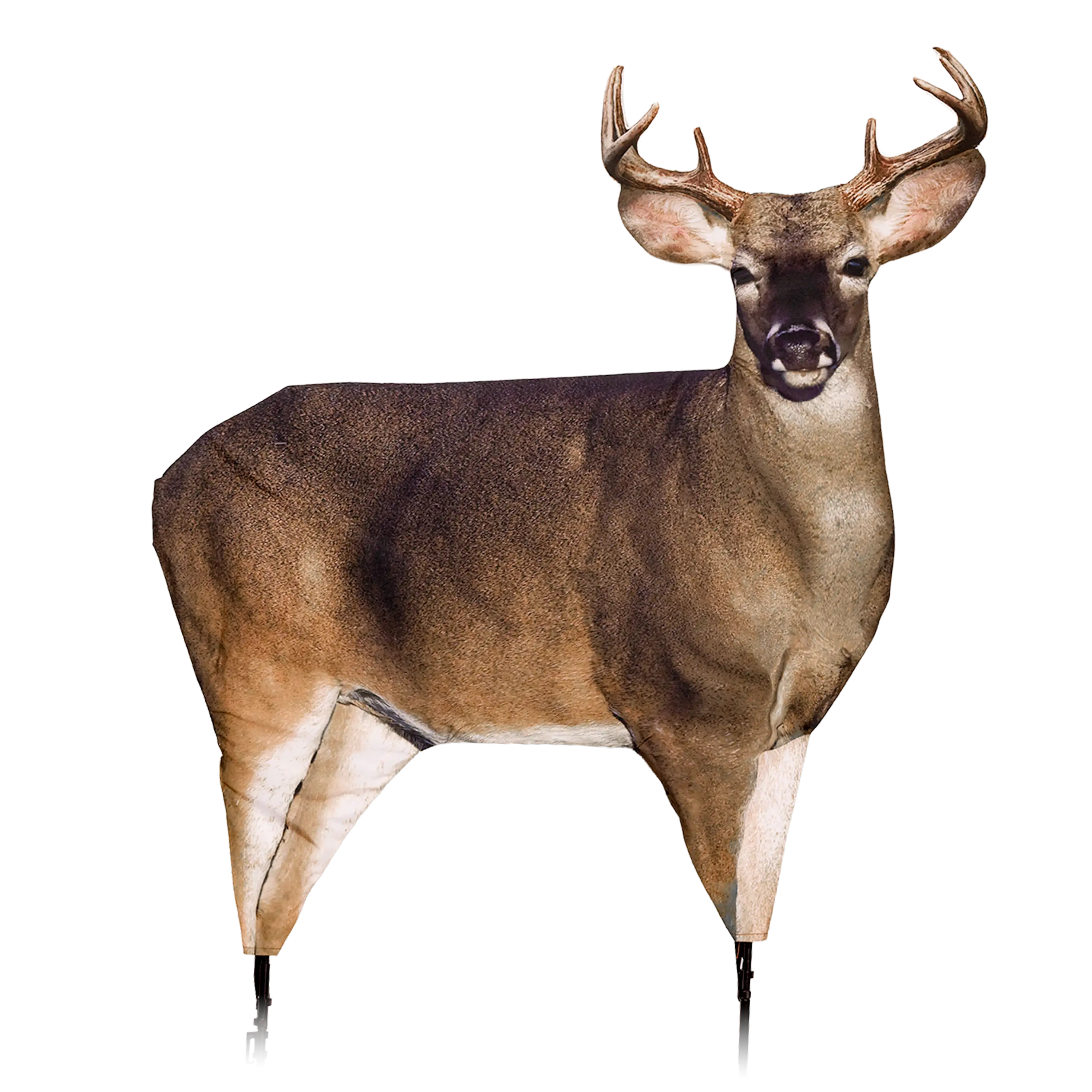 Dream Team - Image 2