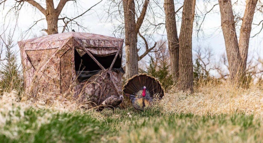 Try to avoid placing your decoys directly in front of your setup.