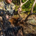 Choosing a Broadhead for Elk