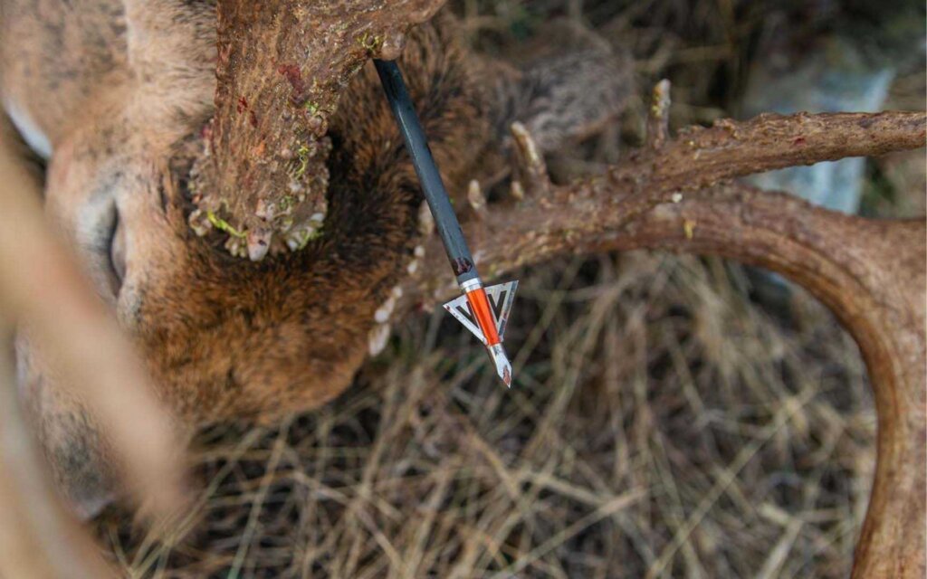 Fixed broadheads are the classic style that has been used since the stone age. Fixed broadheads are the classic style that has been used since the stone age.
