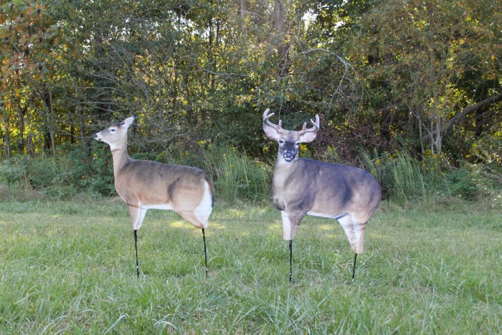 During the peak of the rut, deer decoys like the Dream Team can draw bucks close.