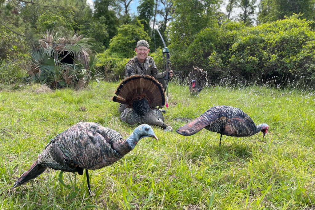 Osceola turkeys can be found in Florida where they typically start breeding in February.
