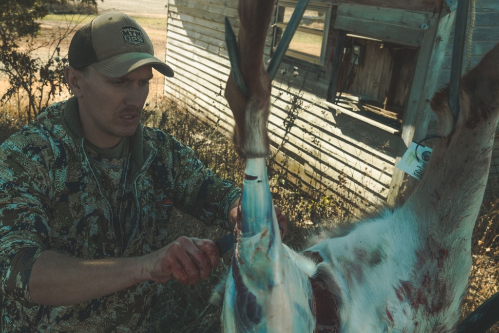 Hang the deer by its hind legs to drain the remaining blood.