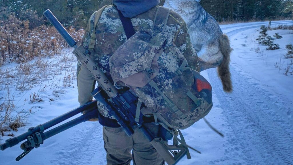 Hunting with a coyote decoy will give them the visual they need to commit to your calling.
