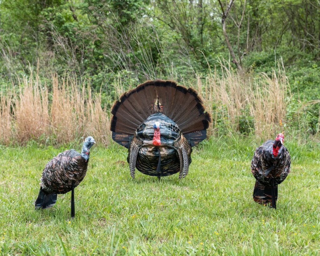 The Wiley Tom 3D is lightweight, packable, and allows you to maximize its realism by adding actual gobbler fan feathers. 