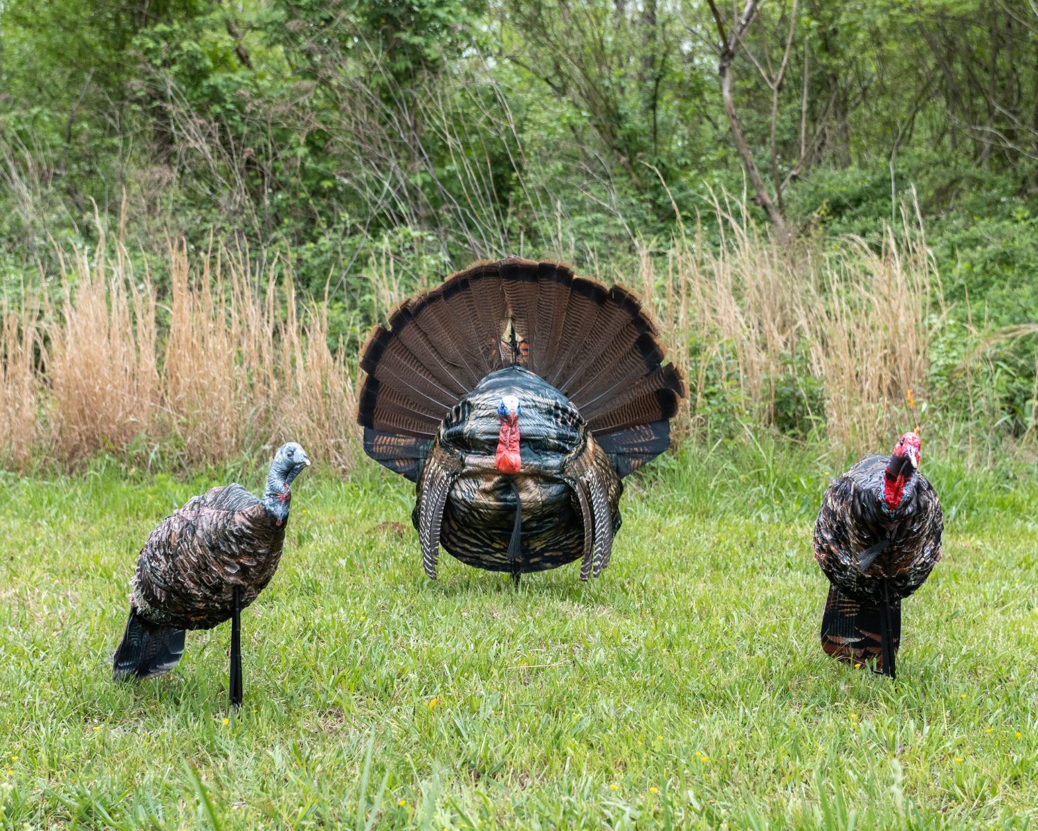 Turkey Fan Decoy Tips - Montana Decoy