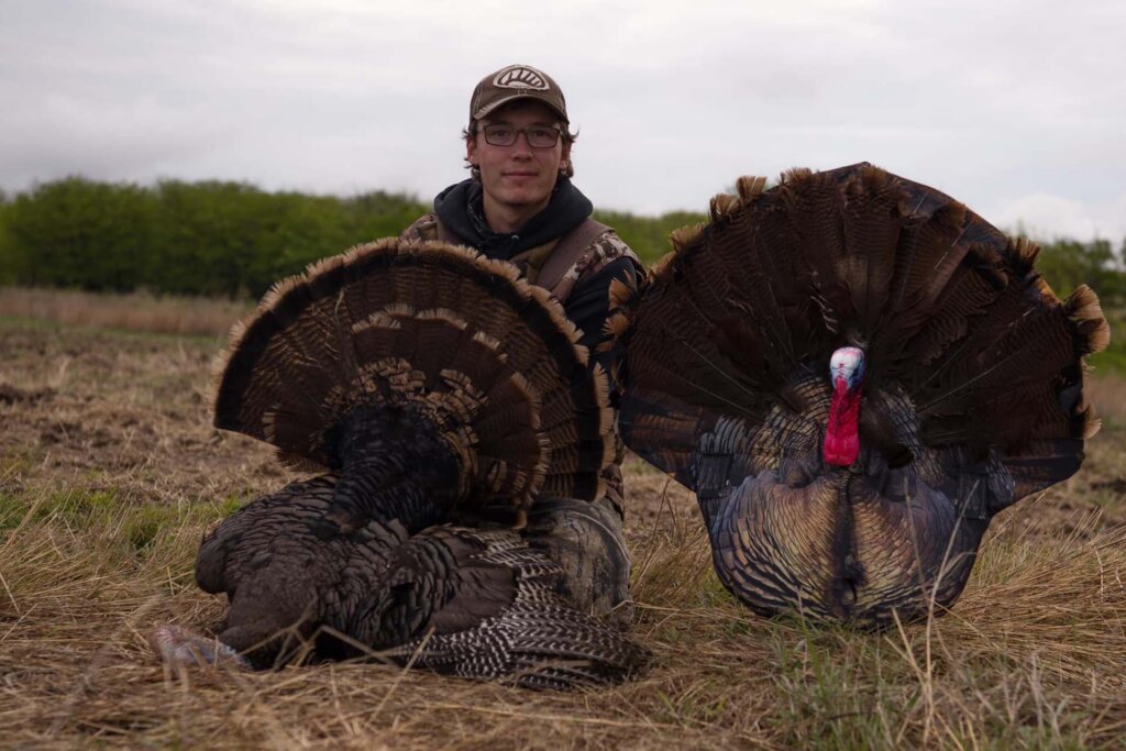 If the gobbler commits to you at any time, stop, stake the decoy into the ground if you can and get ready to give him the business end of your scattergun.