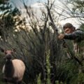 The Death of Easy OTC Elk